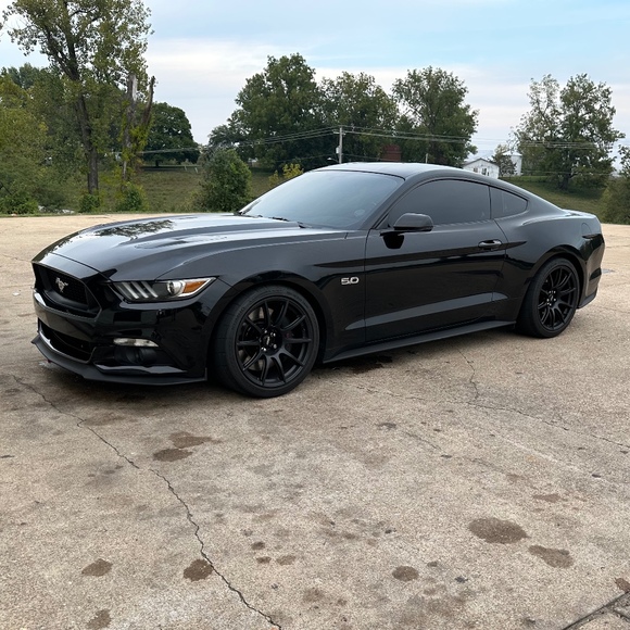 Meet your Posher, Hunter - Picture 1 of 1